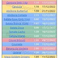 01 Promoções-Descontos-47105.jpg
